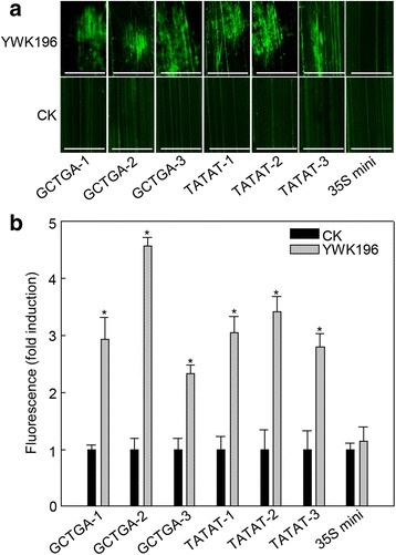 Fig. 7