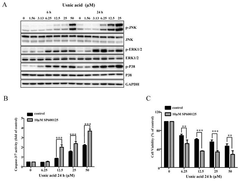 FIG. 7