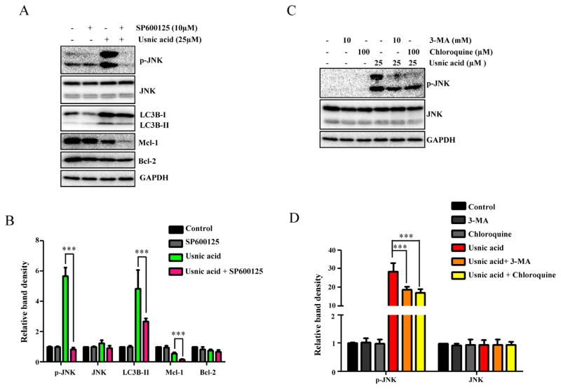 FIG. 8