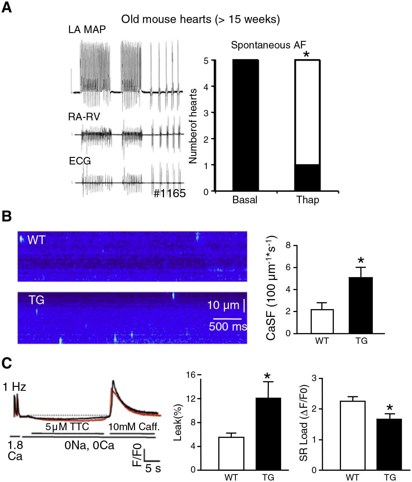 Fig. 7.