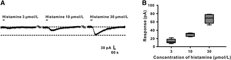 Fig. 2