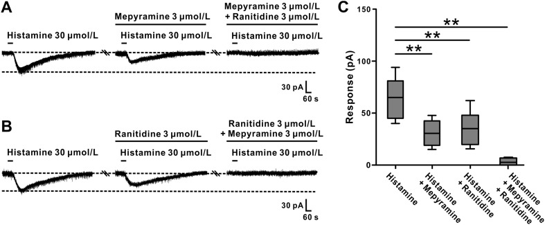 Fig. 6