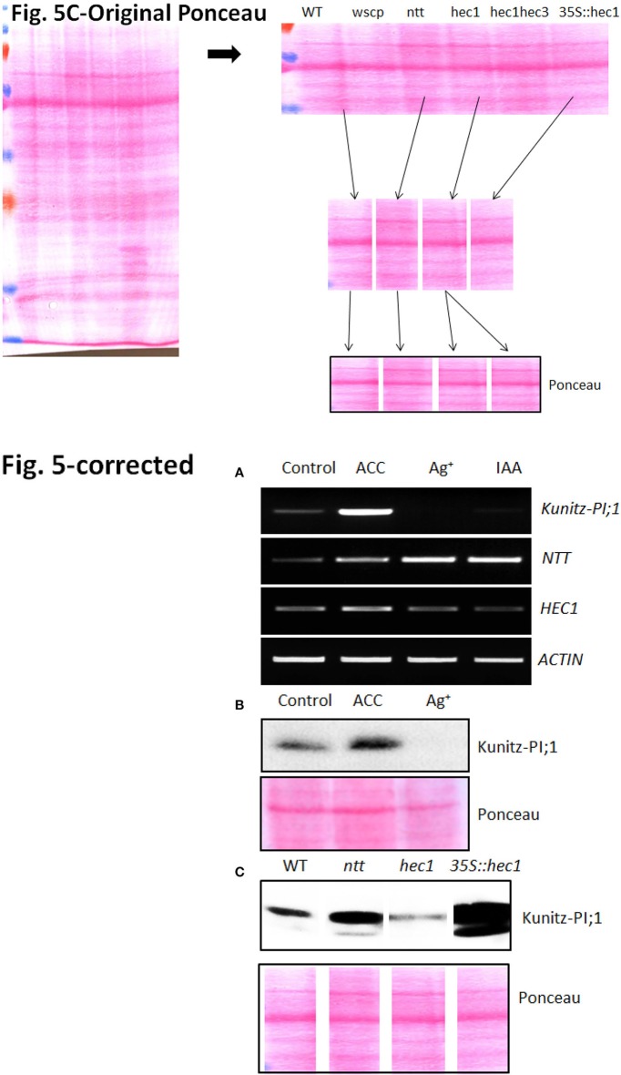 Figure 5