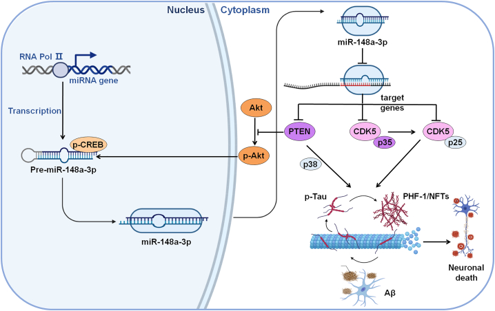 Figure 10