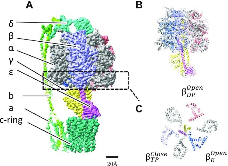 Fig. 1.