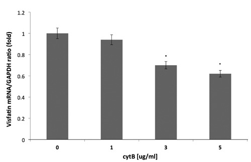 Figure 5.