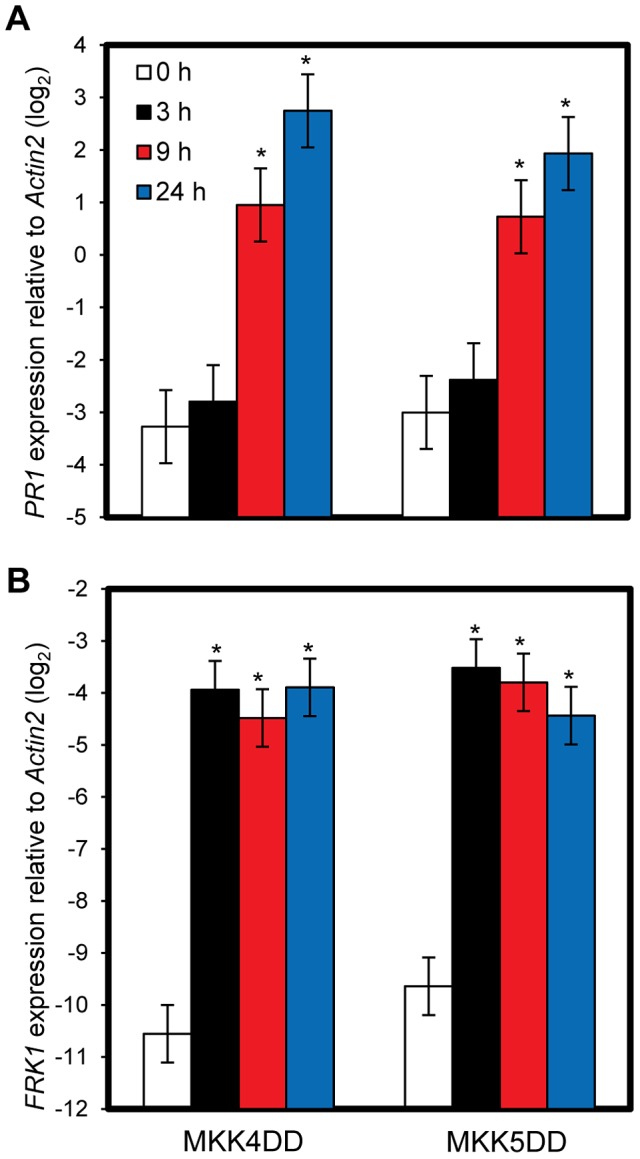 Figure 5