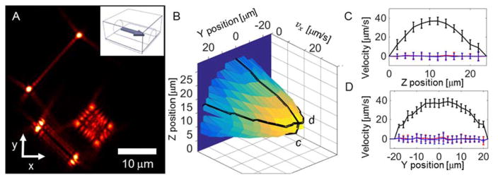 Figure 21