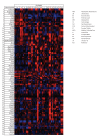 Figure 5—figure supplement 1.