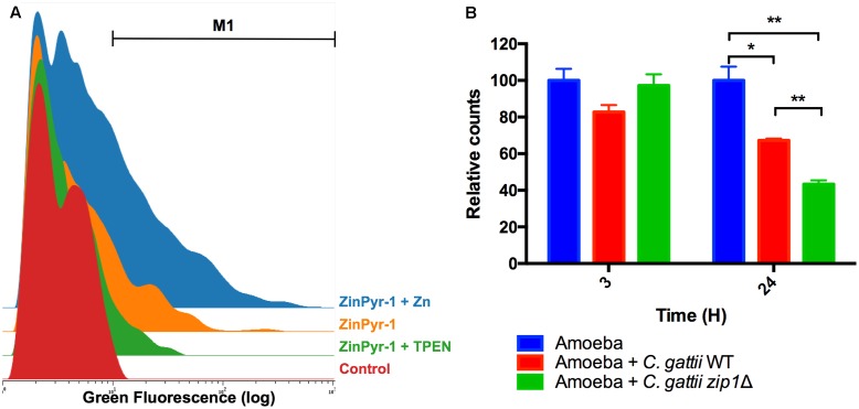 FIGURE 2