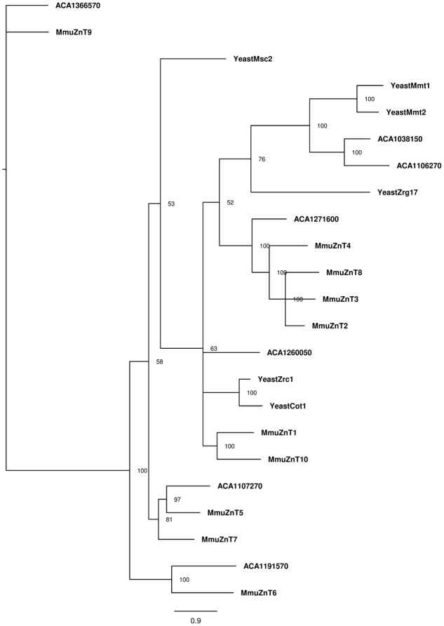 FIGURE 4