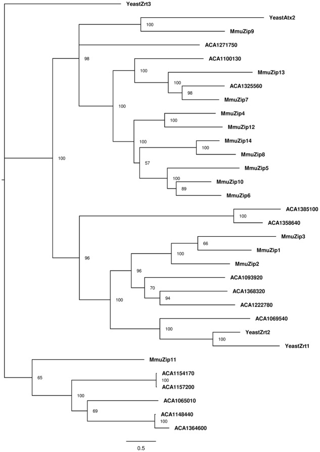 FIGURE 3