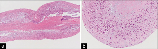 Figure 3: