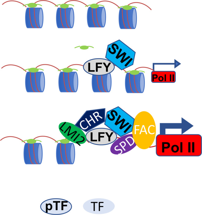 Fig. 8