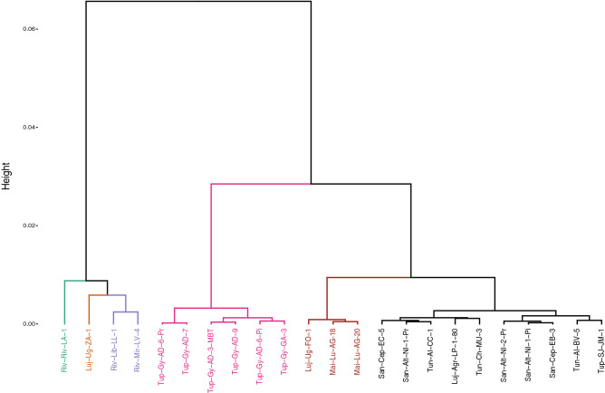 Figure 5