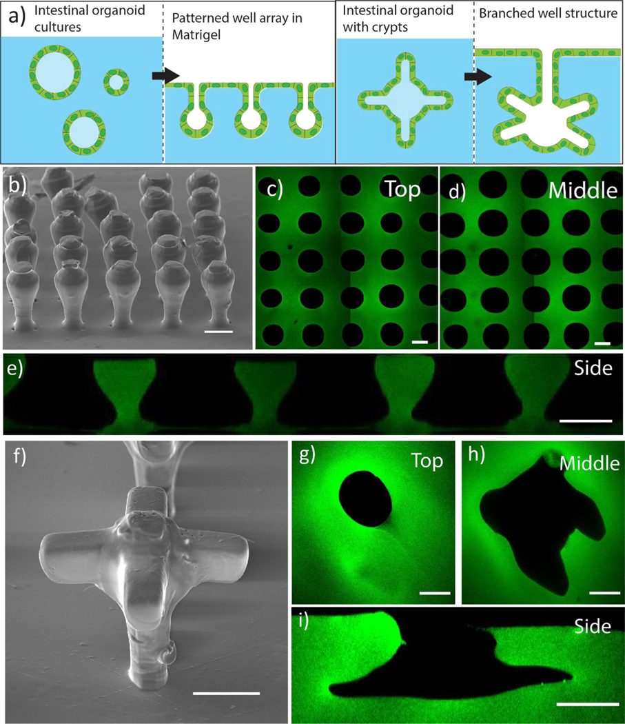 Figure 5: