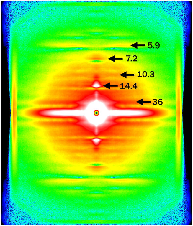 FIGURE 2