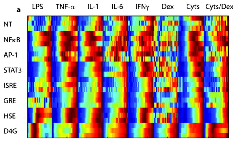 Fig. 12