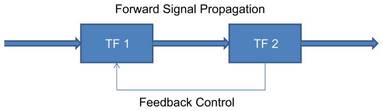 Fig. 11