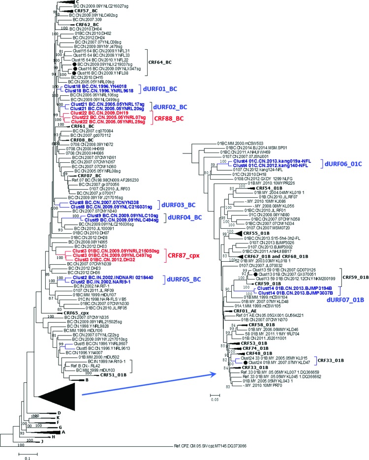 FIG. 1.