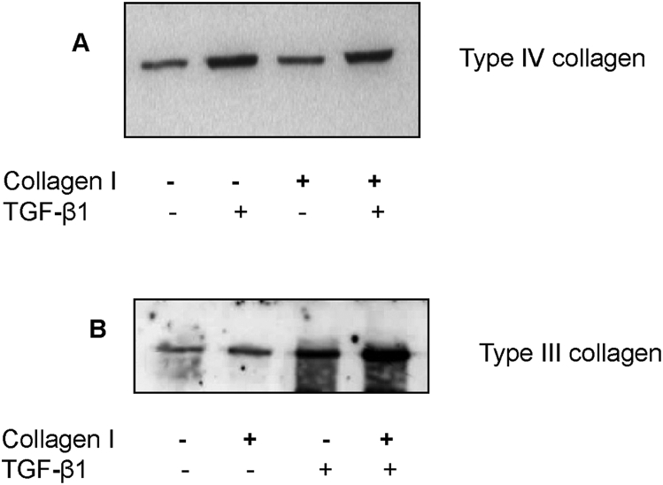 Fig. 6