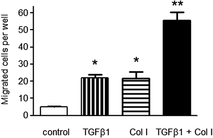 Fig. 7