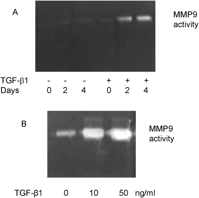 Fig. 9