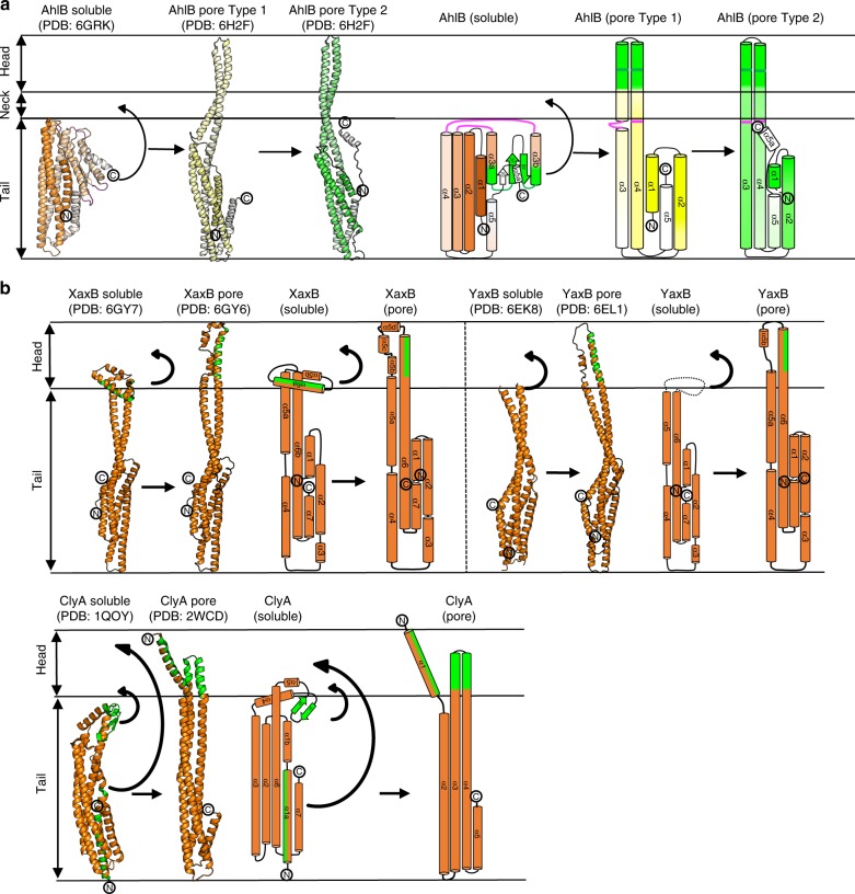 Fig. 4