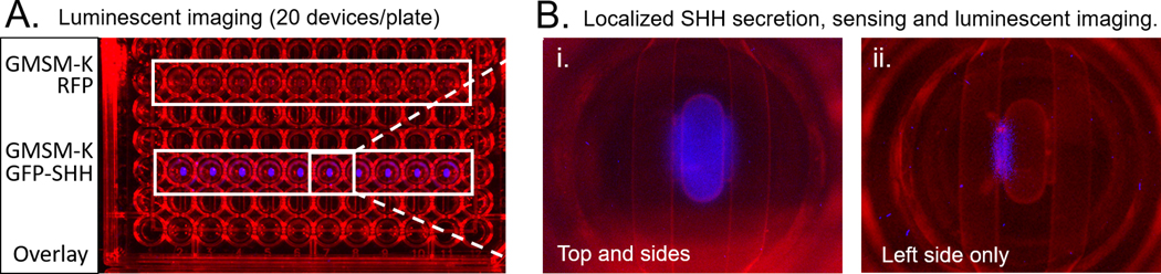 Figure 4: