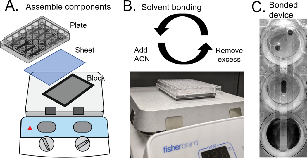 Figure 2: