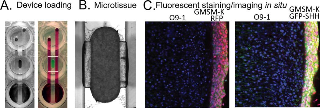 Figure 3: