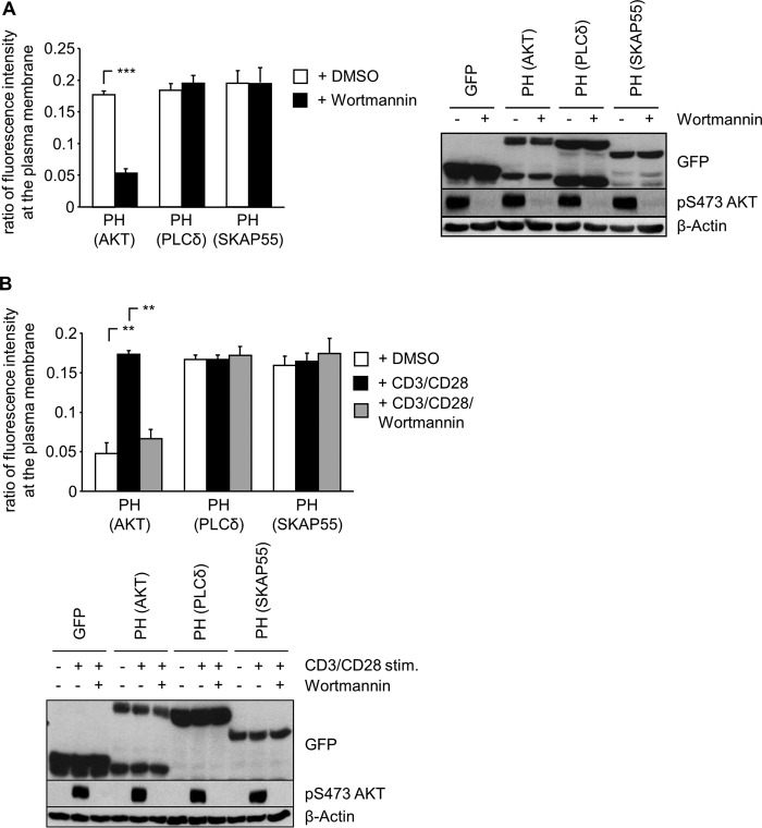 FIG 2