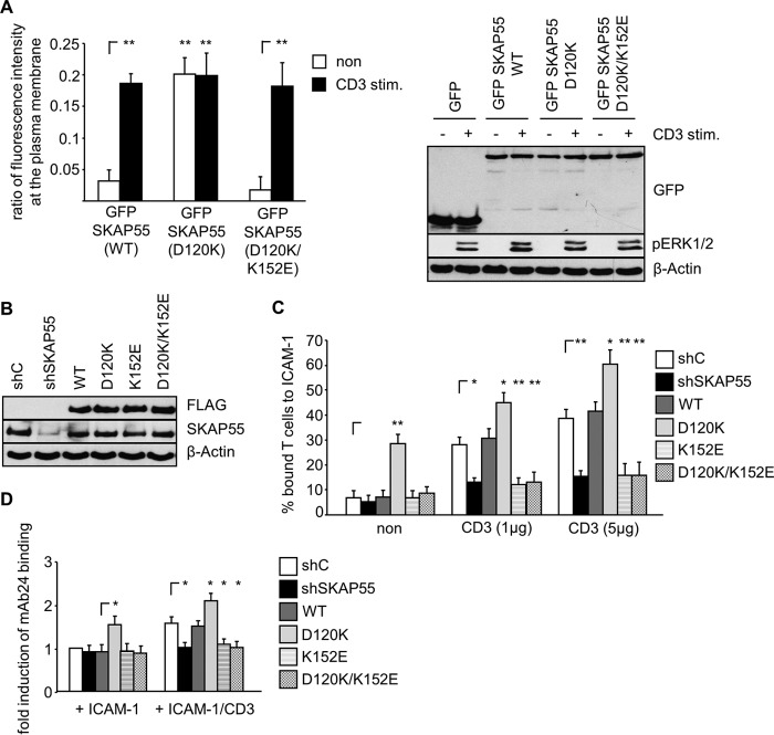 FIG 6