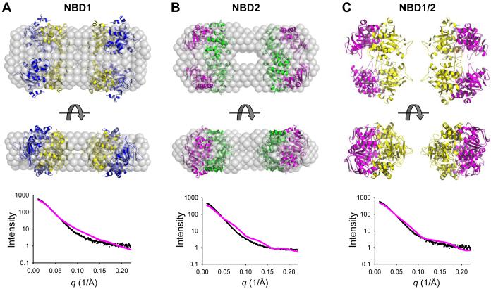 Figure 4