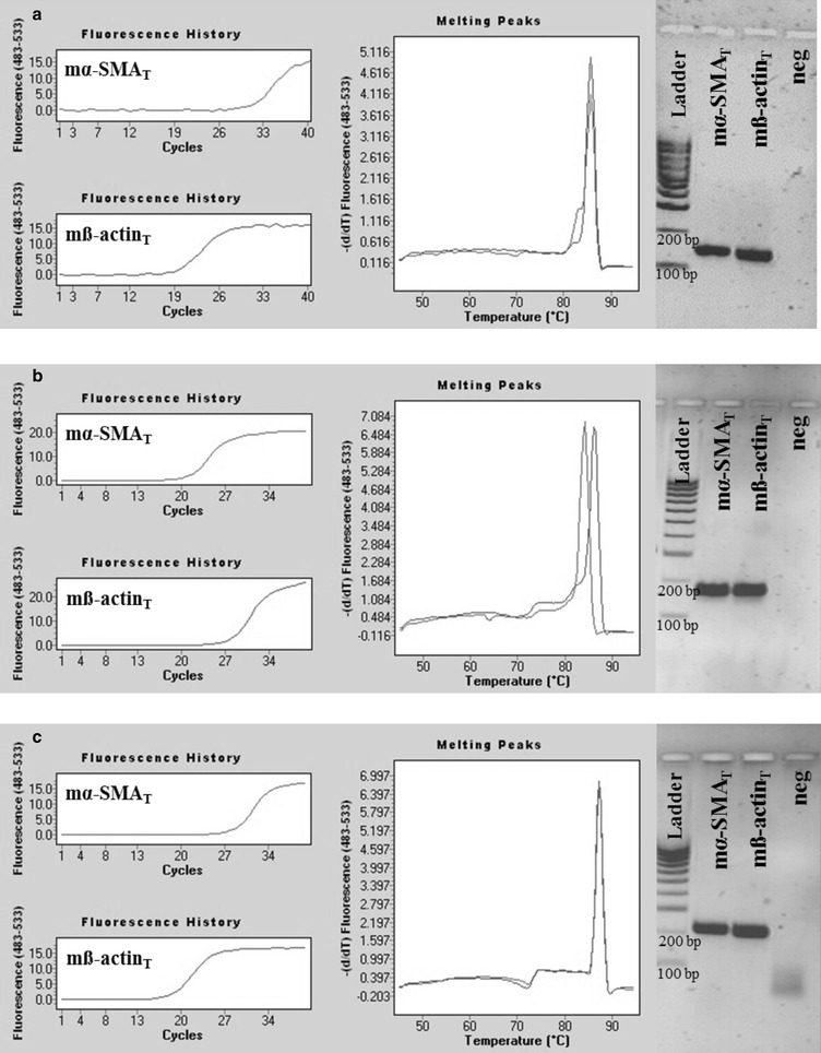 Fig. 8