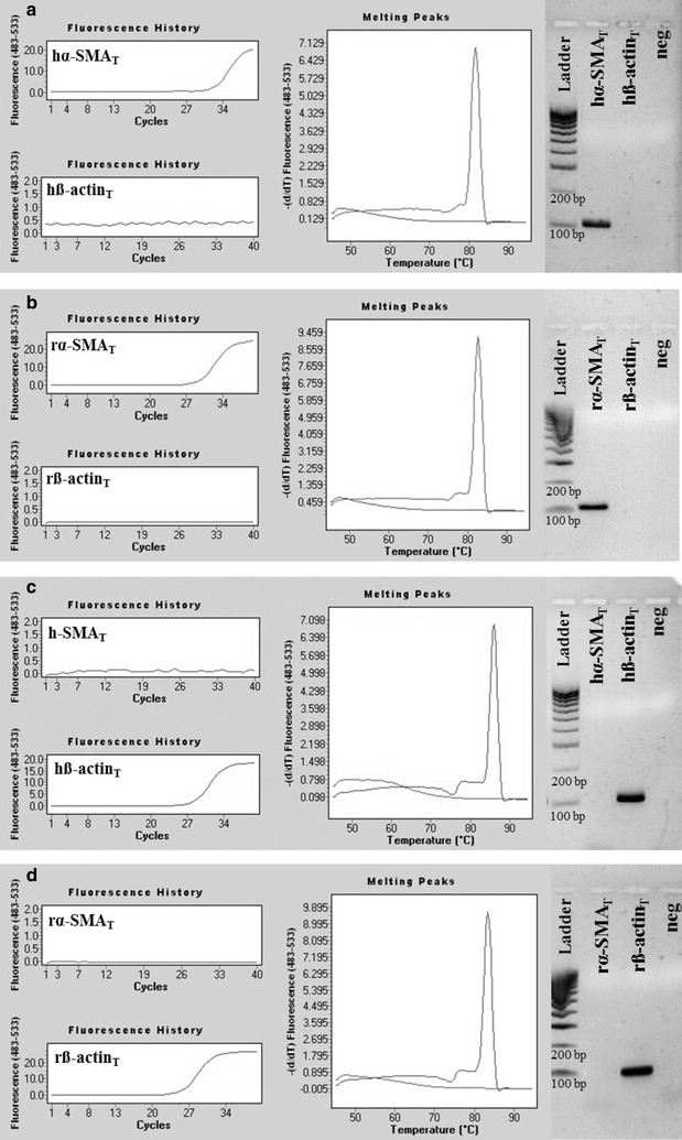 Fig. 11