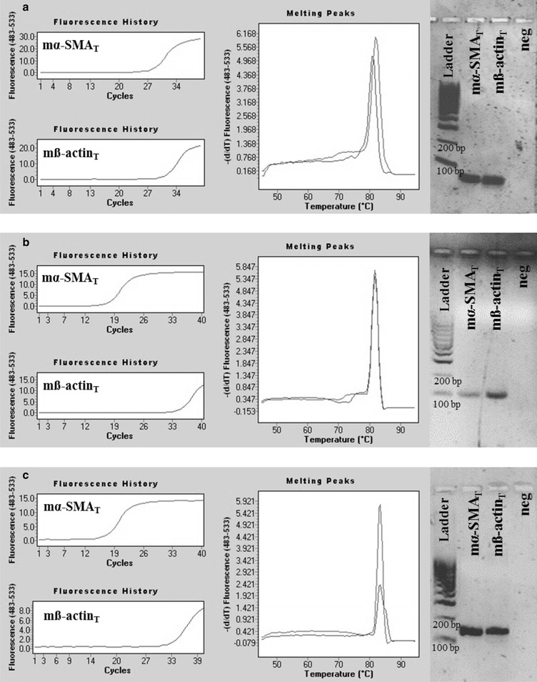 Fig. 7