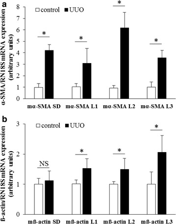 Fig. 9