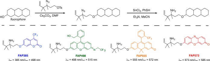 Scheme 5