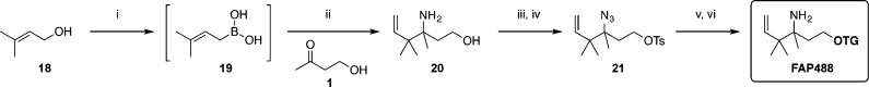 Scheme 4