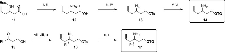 Scheme 3