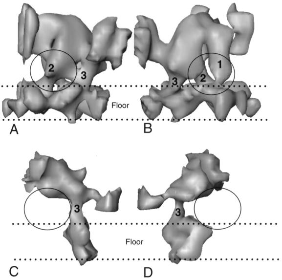 FIG. 5