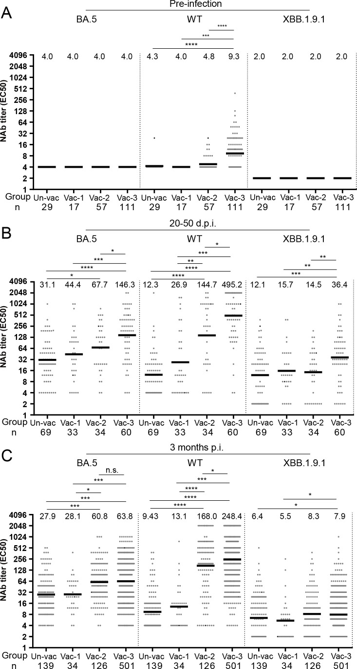 Dot plots display neutralizing antibody titers against BA.5, WT, and XBB.1.9.1 variants in three panels: pre-infection, 20-50 days post-infection, and 3 months post-infection. Each group is compared, with significant differences marked by asterisks.