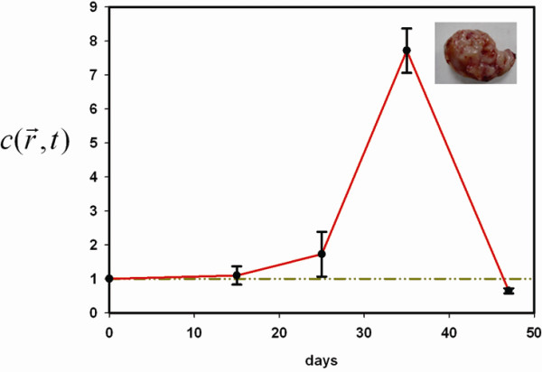 Figure 5 