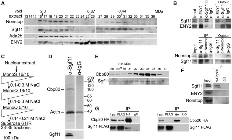 Figure 5.