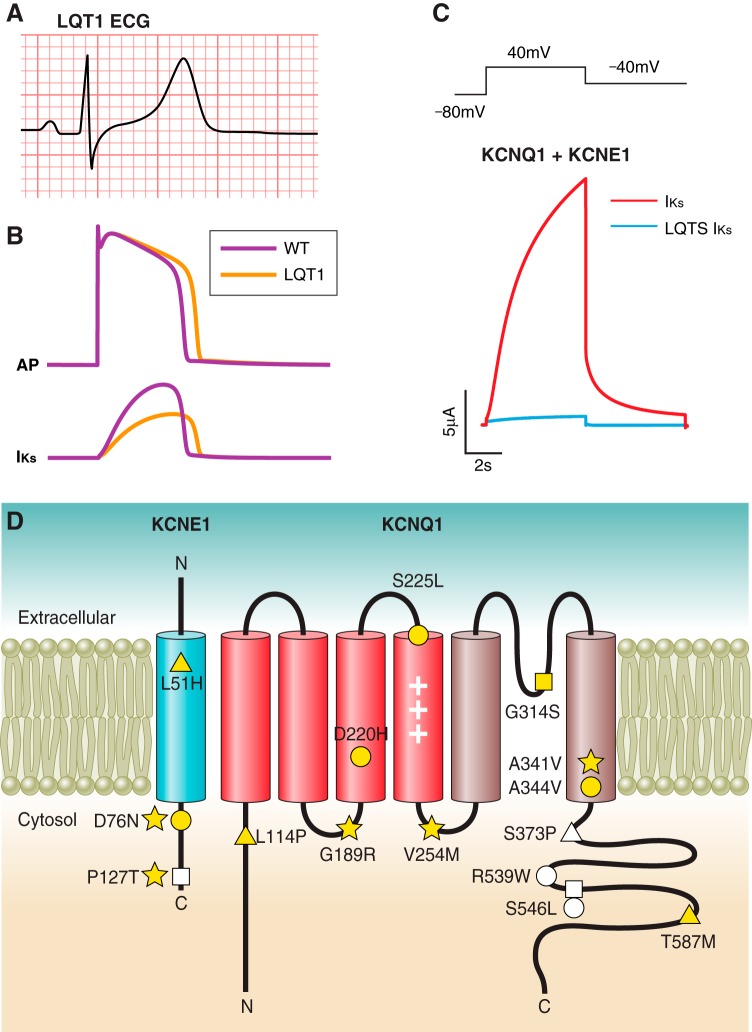 FIGURE 4.