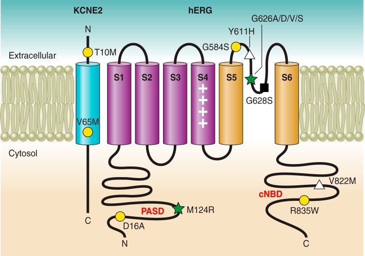 FIGURE 7.