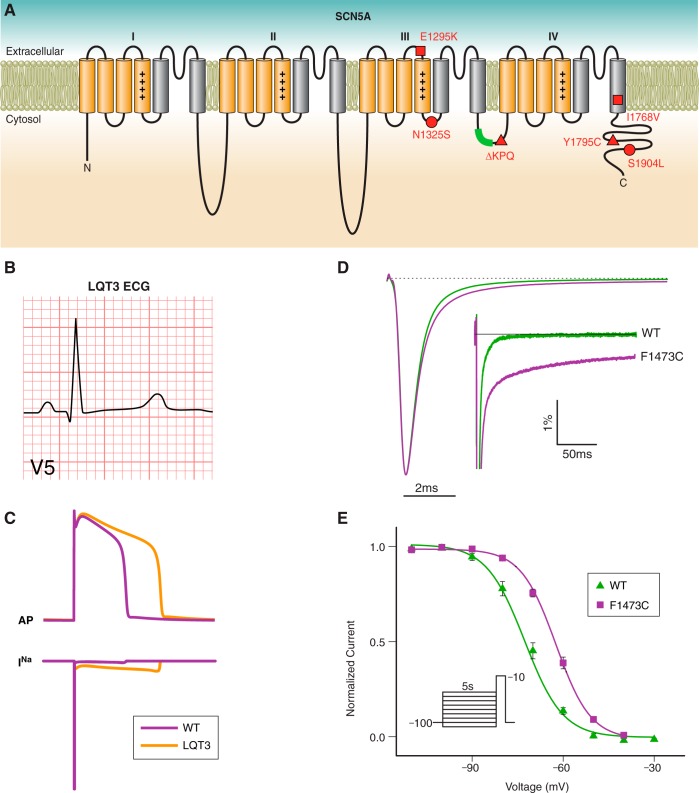 FIGURE 9.