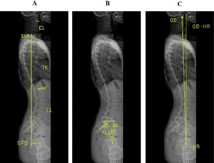 Figure 5