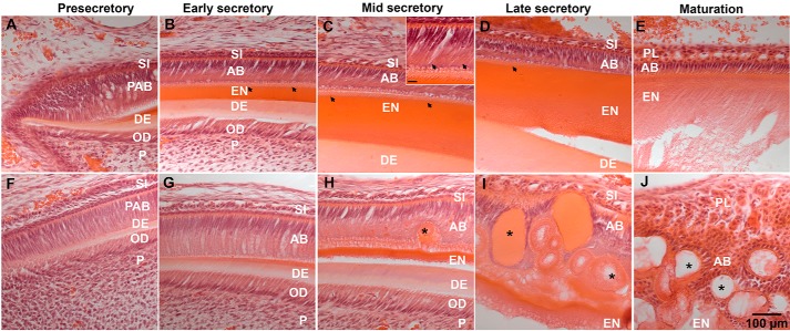 Figure 9.